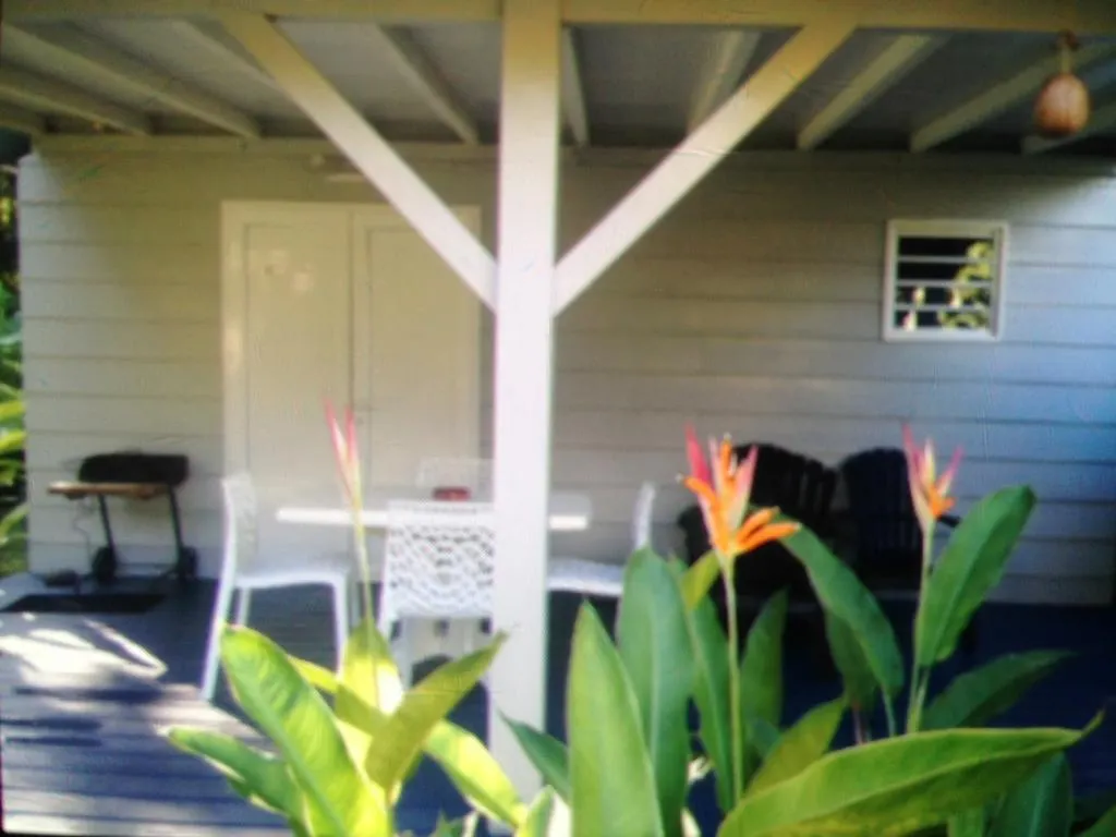 Un Bungalow Dans Mon Jardin Fleuri Villa Baie-Mahault Holiday home