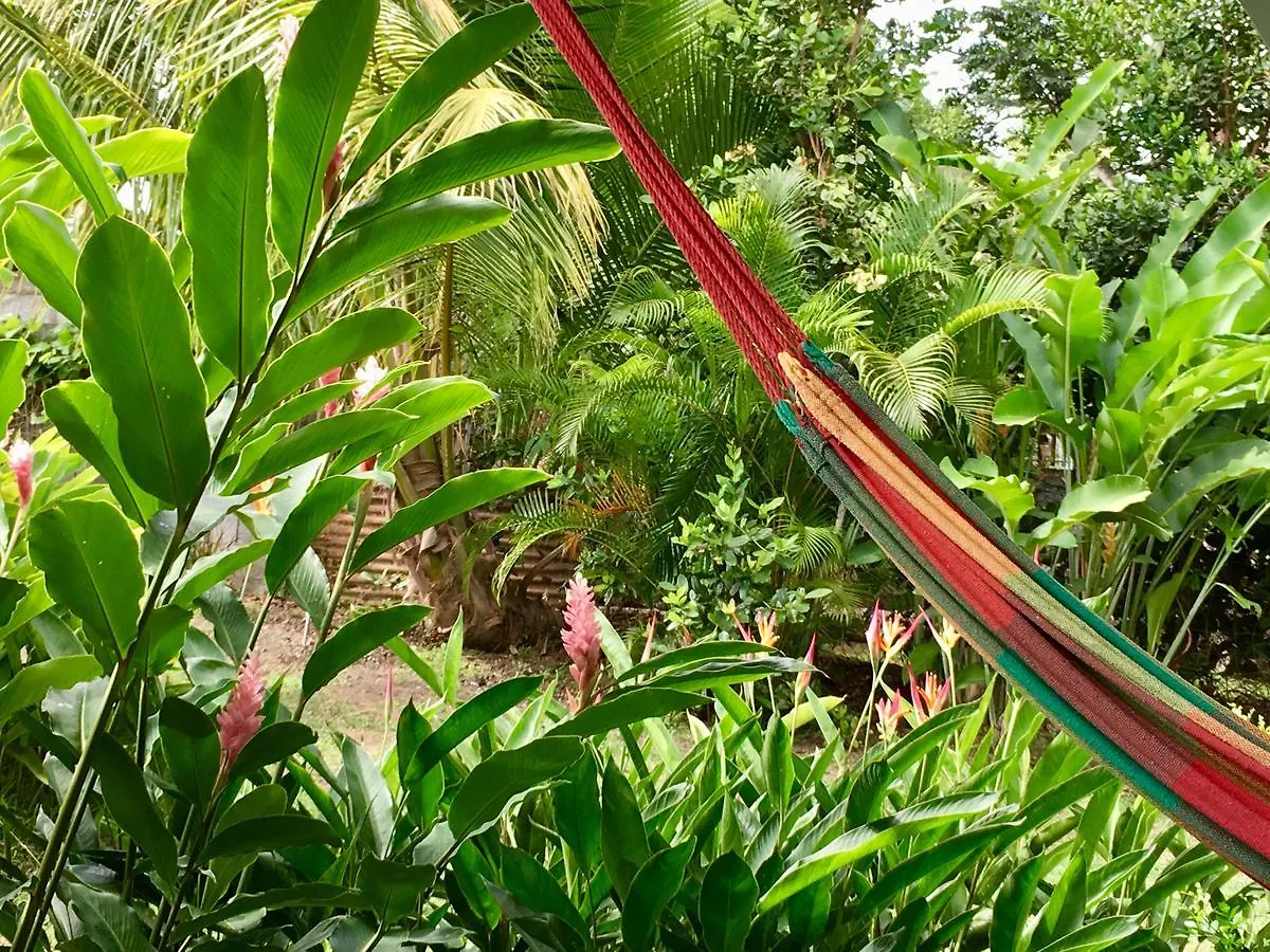 Un Bungalow Dans Mon Jardin Fleuri Villa Baie-Mahault 0*,  Guadeloupe