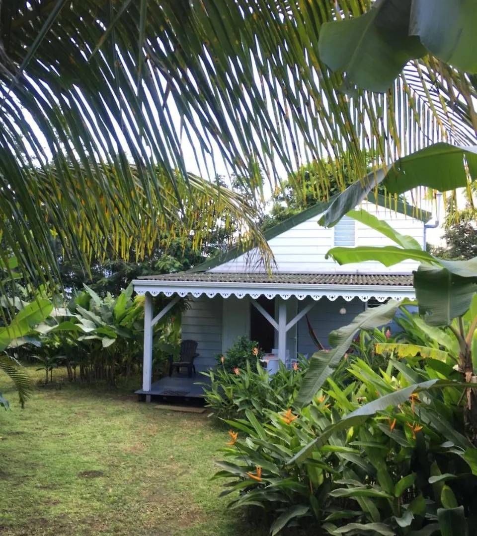 Un Bungalow Dans Mon Jardin Fleuri Villa Baie-Mahault 0*,